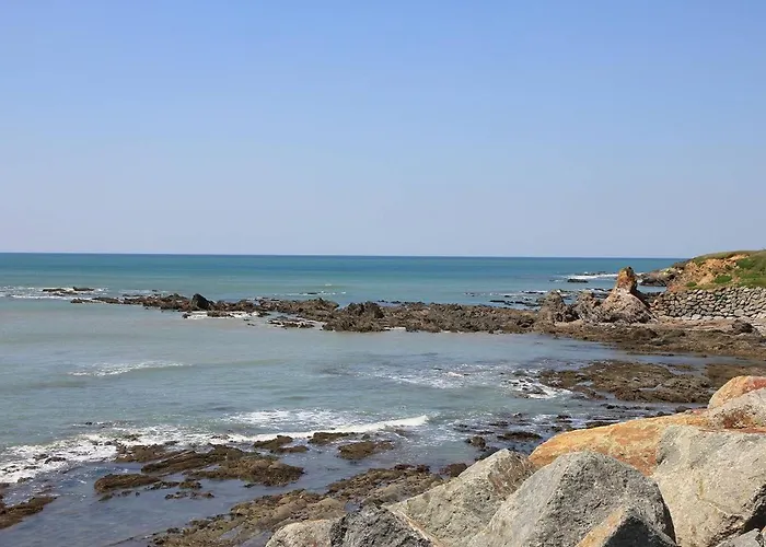 Maison 3 Pièces, Jardin Clos, Près Plage, Wi-fi, Animaux Bienvenus - Fr-1-224a-84 Hébergement de vacances *